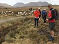 IMG 6956