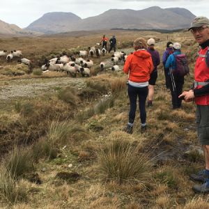 Leenane Easter 2022