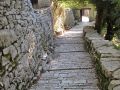 IMG 1257