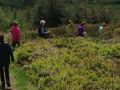 IMG 8853