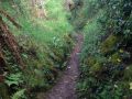IMG 8875