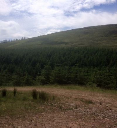 Glengarra9
