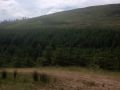 Glengarra 7