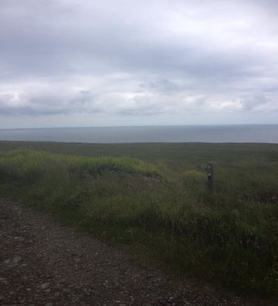 IMG 3265