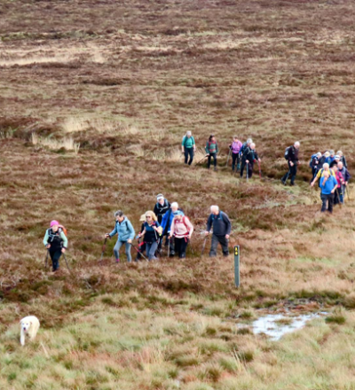 friendshipwalk25