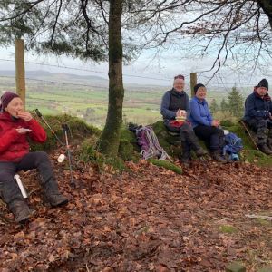 Sunday Walk Jan 23