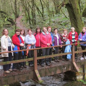 Saturday Walkers